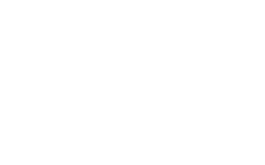BOSSDATAGH